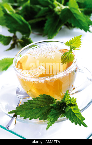 Nettles გაზრდის potency მამაკაცებში რეცეპტები Nettles გაზრდის potency მამაკაცებში რეცეპტები